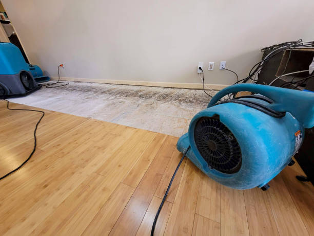 Professional Emergency Water Damage technician working in Clifford, MI